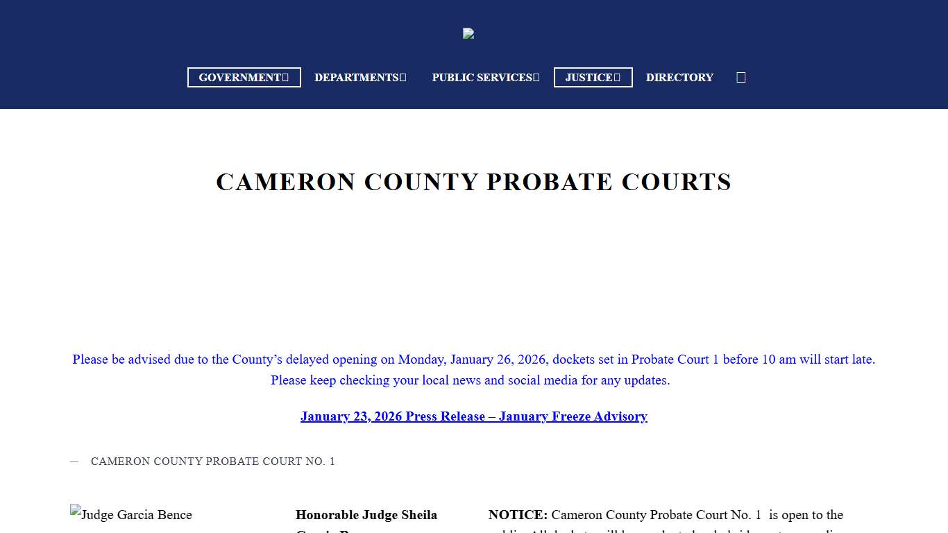 Cameron County Probate Courts - Cameron County